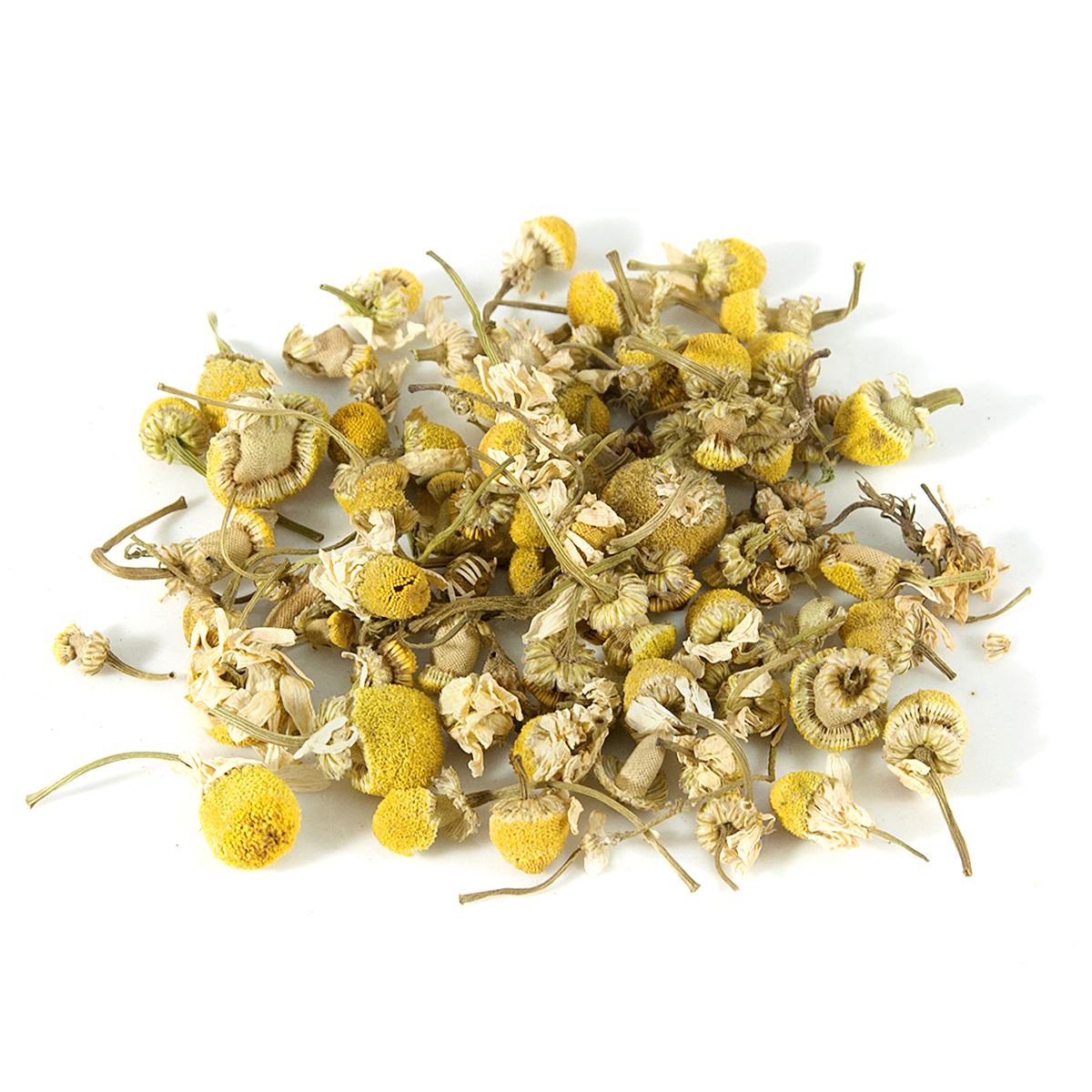 CHAMOMILE
